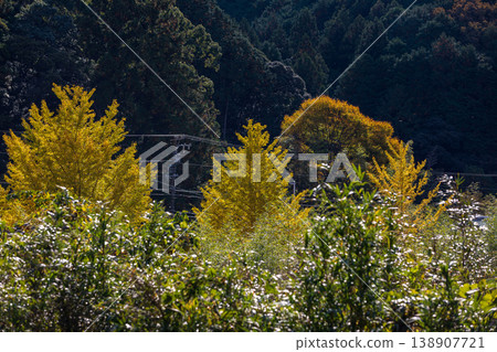 靜岡縣秀知郡守町戶野爪:山村風光 靜岡縣秀知郡守町戶野爪:山村風光 138907721