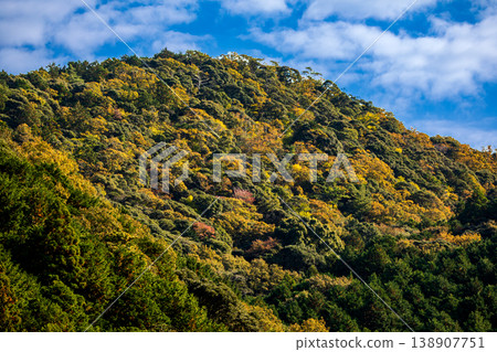 Tonozume, Morimachi, Shuchi District, Shizuoka Prefecture: Mountain village scenery Tonozume, Morimachi, Shuchi District, Shizuoka Prefecture: Mountain village scenery 138907751