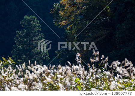 Tonozume, Morimachi, Shuchi District, Shizuoka Prefecture: Mountain village scenery Tonozume, Morimachi, Shuchi District, Shizuoka Prefecture: Mountain village scenery 138907777