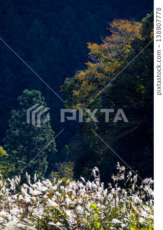 Tonozume, Morimachi, Shuchi District, Shizuoka Prefecture: Mountain village scenery 138907778