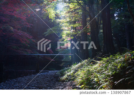 Ichinomiya, Mori-machi, Shuchi-gun, Shizuoka Prefecture Okuni Shrine and the surrounding scenery 138907867