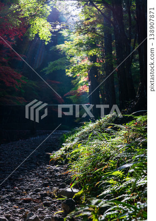 Ichinomiya, Mori-machi, Shuchi-gun, Shizuoka Prefecture Okuni Shrine and the surrounding scenery Ichinomiya, Mori-machi, Shuchi-gun, Shizuoka Prefecture Okuni Shrine and the surrounding scenery 138907871