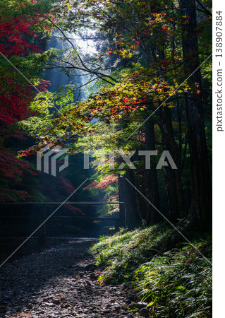 Ichinomiya, Mori-machi, Shuchi-gun, Shizuoka Prefecture Okuni Shrine and the surrounding scenery 138907884