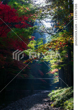 Ichinomiya, Mori-machi, Shuchi-gun, Shizuoka Prefecture Okuni Shrine and the surrounding scenery 138907886