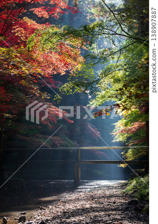 Ichinomiya, Mori-machi, Shuchi-gun, Shizuoka Prefecture Okuni Shrine and the surrounding scenery 138907887