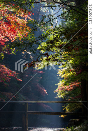 Ichinomiya, Mori-machi, Shuchi-gun, Shizuoka Prefecture Okuni Shrine and the surrounding scenery 138907898