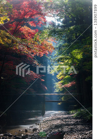 Ichinomiya, Mori-machi, Shuchi-gun, Shizuoka Prefecture Okuni Shrine and the surrounding scenery 138907899