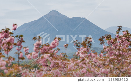 高千穗山，美麗的櫻花點綴著山峰。 138908410