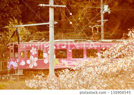 The Nishikigawa Seiryu Line runs along a mountain road at dusk, with cherry blossoms in bloom. The Nishikigawa Seiryu Line runs along a mountain road at dusk, with cherry blossoms in bloom. 138908545