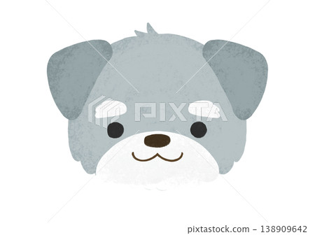 Cute Miniature Schnauzer with a smiling expression (illustration) 138909642