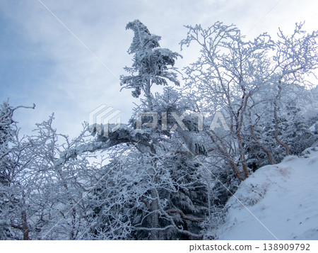 Snow-covered Yatsugatake Mountains, Akadake 138909792