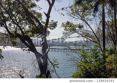 Panama Canal bridge framed by tropical trees Panama Canal bridge framed by tropical trees 138910143