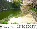 Cherry blossom petals floating on the moat of Kokura Castle 138910155