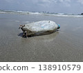 Ocean's Unwanted Guest: A weathered plastic bottle lies stranded on the sandy shore, a stark reminder of environmental pollution and the urgent need for conservation. 138910579