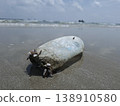 Ocean's Unwanted Guest: A weathered plastic bottle lies stranded on the sandy shore, a stark reminder of environmental pollution and the urgent need for conservation. 138910580