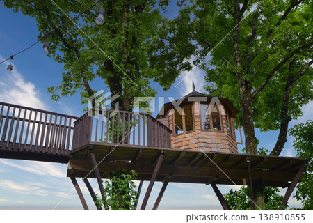 A close-up of a treehouse standing out against the fresh greenery and blue sky. 138910855