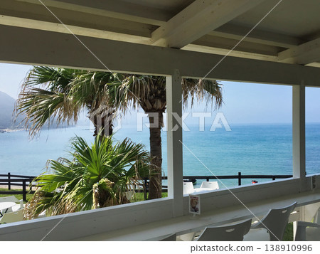 A resort-style cafe space with a terrace overlooking the sea and beautiful palm trees. 138910996