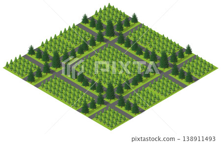 Isometric city park with square pattern of trees and paths Isometric city park with square pattern of trees and paths 138911493
