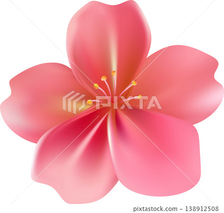 Realistic pink sakura blossom flower. Delicate petals Realistic pink sakura blossom flower. Delicate petals 138912508