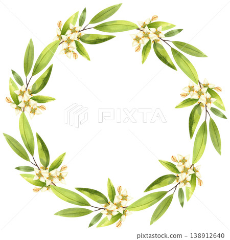Olive blossom branch, vibrant watercolor frame, isolated. Hand drawn, vibrant wreath with white flowers and lush greenery. Lush foliage for cards, prints. Olive blossom branch, vibrant watercolor frame, isolated. Hand drawn, vibrant wreath with white flowers and lush greenery. Lush foliage for cards, prints. 138912640