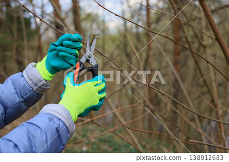 Hands in bright green gloves trimming bush branches with an black and orange garden pruner. Spring gardening, bush care, and horticulture concept. Hands in bright green gloves trimming bush branches with an black and orange garden pruner. Spring gardening, bush care, and horticulture concept. 138912683