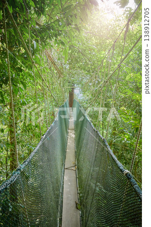 Rainforest canopy walkway, Borneo, Sabah, Malaysia. Rainforest canopy walkway, Borneo, Sabah, Malaysia. 138912705