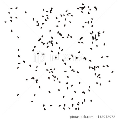 Black cumin seeds scattered isolated on white background, nigella spice top view Black cumin seeds scattered isolated on white background, nigella spice top view 138912972