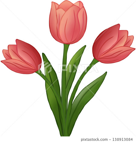 Pink tulips Pink tulips 138913084