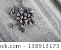 Uncooked  black  legume chickpea 138913173