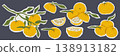 Hand drawn yuzu citrus sticker collection with fruits slices and leafy branches in asian style vector illustration with white outline on dark background for packaging logo icon set and food branding 138913182