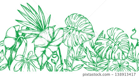Seamless horizontal border with tropical palm and monstera leaves. vector illustration in sketch style 138913417