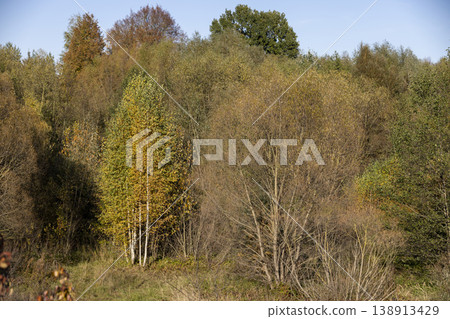 autumn landscape with deciduous trees with yellow and orange foliage during leaf fall at sunset, autumn landscape with different types of trees during sunset, calm weather without wind autumn landscape with deciduous trees with yellow and orange foliage during leaf fall at sunset, autumn landscape with different types of trees during sunset, calm weather without wind 138913429