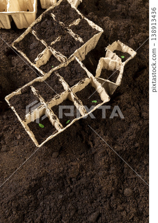 watermelon seeds and earth-filled cardboard pots for seedlings with fertile brown soil, green processed watermelon seeds and paper disposable cups for seedlings filled with soil mixed with peat 138913436