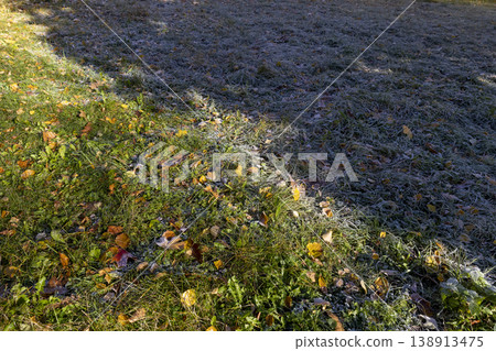 the green grass and yellow foliage of the trees are covered with white frost after the first night frosts in the autumn season, dawn in the park and the grass is covered with frost, on some plants the the green grass and yellow foliage of the trees are covered with white frost after the first night frosts in the autumn season, dawn in the park and the grass is covered with frost, on some plants the 138913475