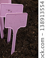 plaques to indicate the type of plants and the variety of plants lies on the black fertile land in the field in the spring season, close up 138913554