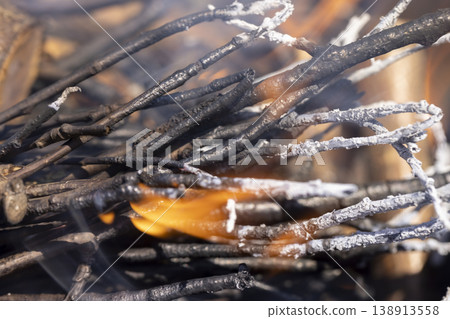 branches and logs burning in a campfire in the park, night time branches and logs burning in a campfire in the park, night time 138913558