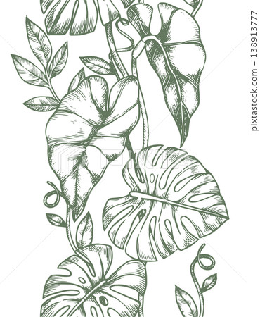 Seamless border with tropical palm and monstera leaves. vector illustration in sketch style Seamless border with tropical palm and monstera leaves. vector illustration in sketch style 138913777