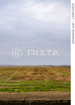 agricultural field sown with agro crops, view of field after harvesting, winter wheat. agricultural field sown with agro crops, view of field after harvesting, winter wheat. 138913828