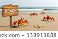 Beach sign crabs sand sea summer travel vacation tropical shore with starfish on sunny coast 138913888
