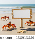 Blank beach sign with orange crabs and starfish on sandy shore by sea for summer vacation travel concept 138913889