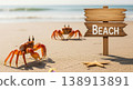 Beach sign with orange crabs and starfish on sandy shore by sea for summer vacation travel tourism concept 138913891
