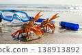 Beach crabs with snorkeling mask and tube on tropical sea shore for summer vacation travel tourism 138913892