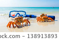 Beach crabs with snorkeling mask and tube on tropical sea shore for summer vacation travel tourism 138913893