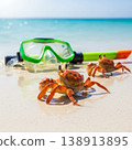 Beach crabs with snorkeling mask on tropical sea shore for summer vacation travel and seaside tourism 138913895