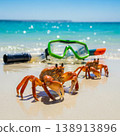 Beach crabs with snorkeling mask on tropical sea shore for summer vacation travel and seaside tourism 138913896