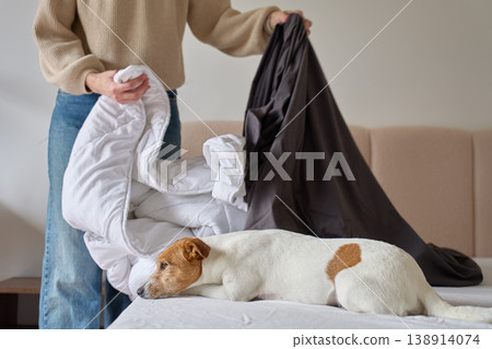 Woman changing dark duvet cover on duvet while dog lies on bed Woman changing dark duvet cover on duvet while dog lies on bed 138914074