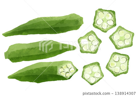 Hand-drawn watercolor-style illustration of okra. Hand-drawn watercolor-style illustration of okra. 138914307