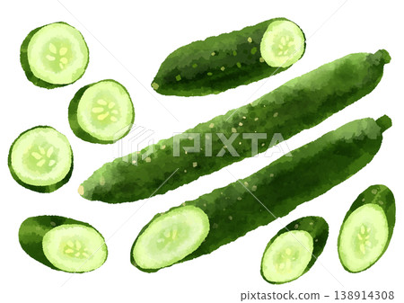 Cucumber illustration, hand-drawn, watercolor style. 138914308