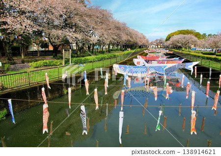 櫻花與鯉魚旗交相輝映…館林市鶴田川鯉魚旗節 櫻花與鯉魚旗交相輝映…館林市鶴田川鯉魚旗節 138914621