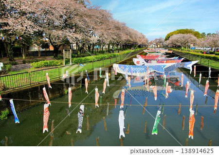 櫻花與鯉魚旗交相輝映…館林市鶴田川鯉魚旗節 138914625